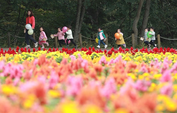 완연한 가을날씨를 보인 17일 오전 함양군 함양읍 상림경관단지를 찾은 아이들이 각양각색의 꽃들을 감상하며 지나가고 있다. (사진제공=함양군청)