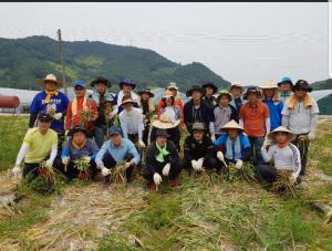 한국농어촌공사 진주산청지사 농촌일손돕기 봉사활동