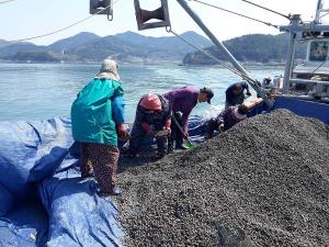 남해군, 강진만 해역 마을어장 소득조성사업 추진