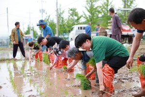 진주농민·통일단체, 통일쌀 모내기 행사 개최